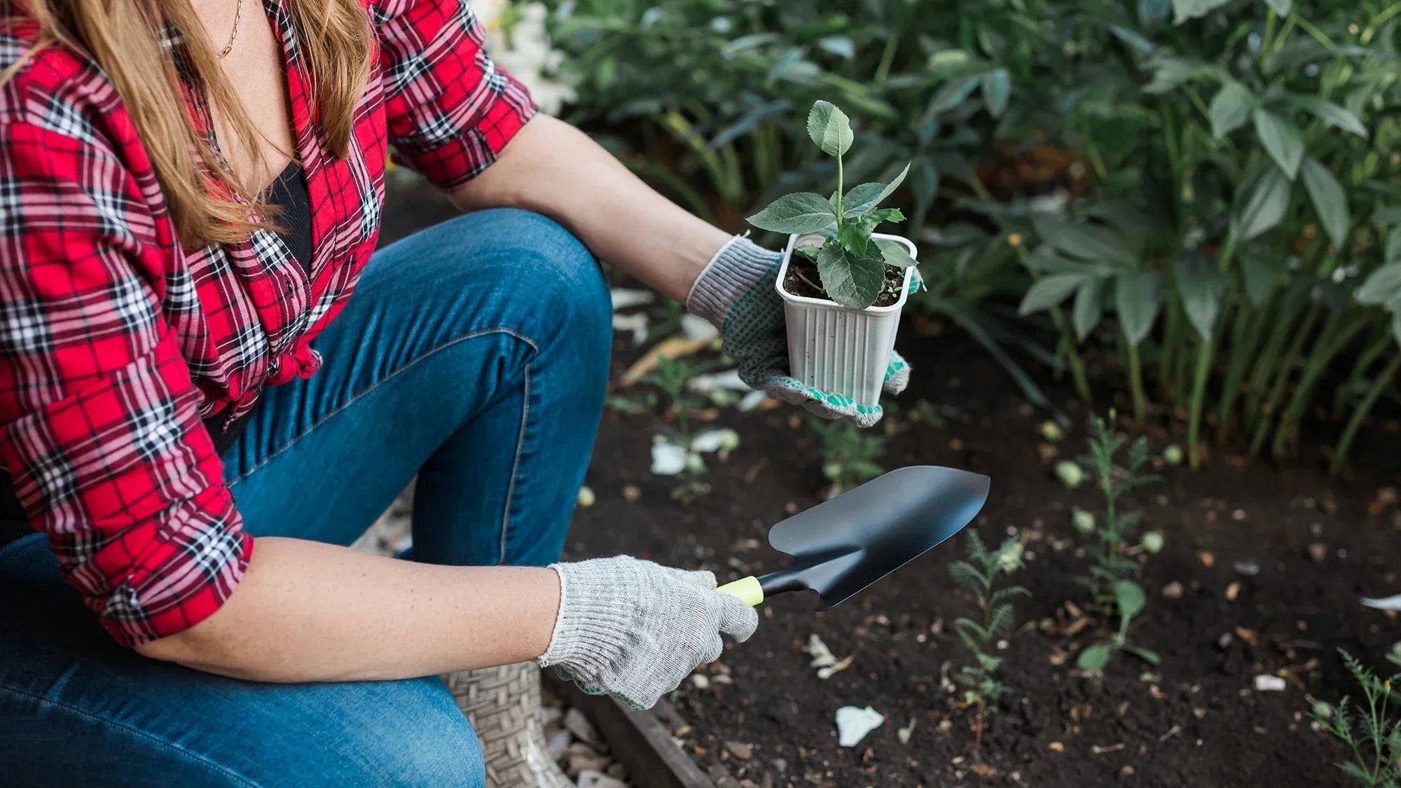 Vorteile eines Gartens für deine Gesundheit